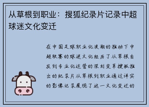 从草根到职业：搜狐纪录片记录中超球迷文化变迁