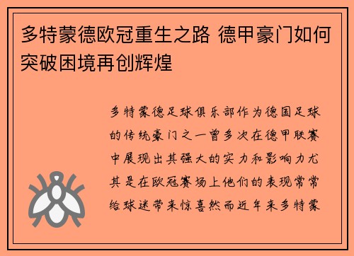 多特蒙德欧冠重生之路 德甲豪门如何突破困境再创辉煌